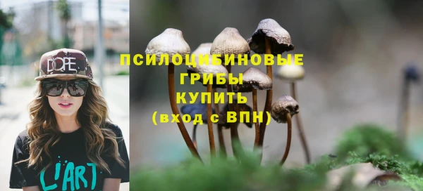 jwh Богородск