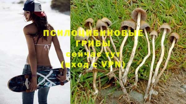 экстази Богданович
