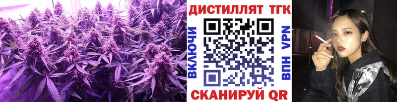 MEGA ТОР Старица Дистиллят ТГК THC oil