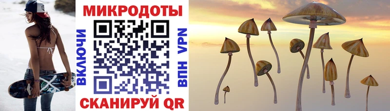 где купить наркоту  Старица  маркетплейс Telegram  Галлюциногенные грибы GOLDEN TEACHER 